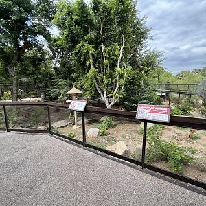 Squirrel Monkey Exhibit (walk-through)