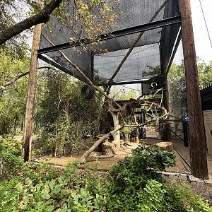 Black Howler Monkey Exhibit