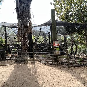 Saki + Spider Monkey Exhibits