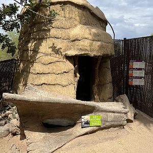 Herp Exhibits in Tree