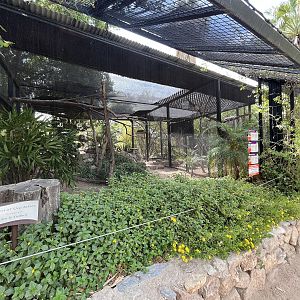 Tropical Aviary (4 species)