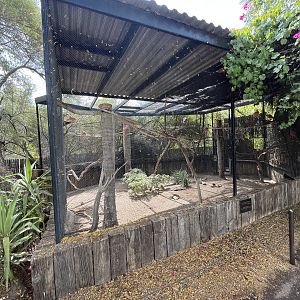 Tropical Aviary (3 species)