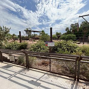 Asian Elephant/Indian Rhino Exhibit (rotational)