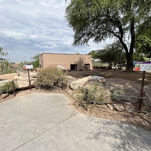 Galapagos Tortoise Exhibit