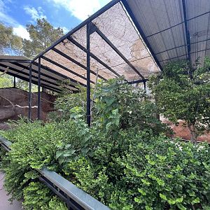 Rhinoceros Hornbill Aviary