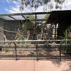 Squirrel Monkey Exhibit