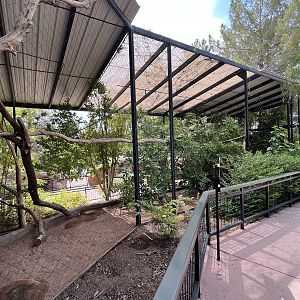 Two-toed Sloth Exhibit