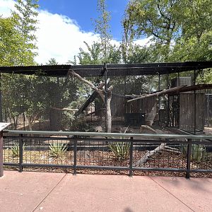 King Vulture Aviary