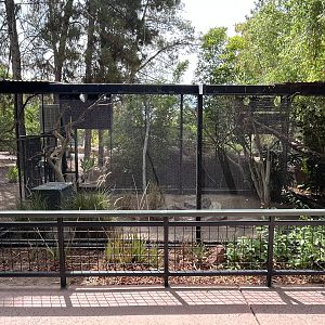 Mixed-species Exhibit (3 species)