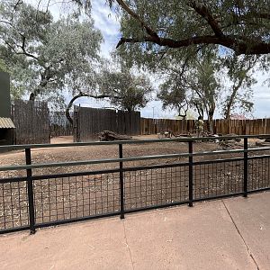 Mexican Red Brocket Deer Exhibit