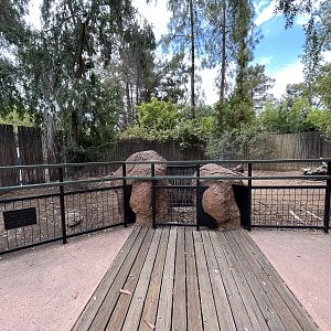 Calamian Deer Exhibit