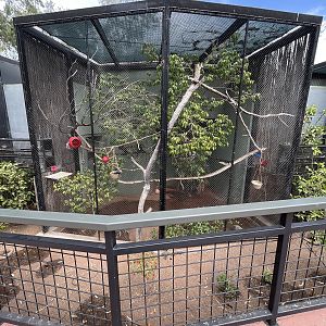 Emperor Tamarin Exhibit