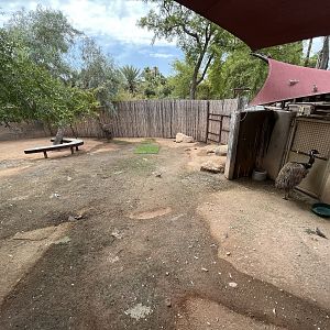 Emu Exhibit