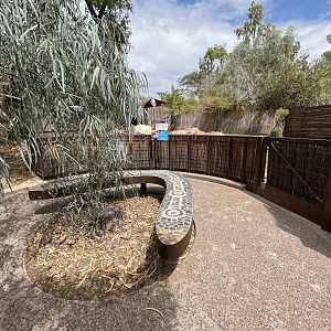Bennett’s Wallaby Exhibit