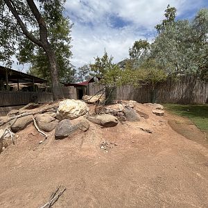 Bennett’s Wallaby Exhibit