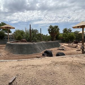 Asian Elephant/Indian Rhino Exhibit (rotational)