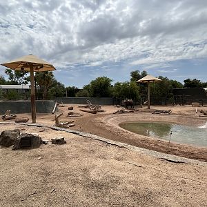 Asian Elephant/Indian Rhino Exhibit (rotational)