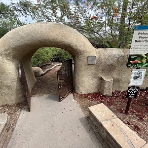 Small Butterfly Garden