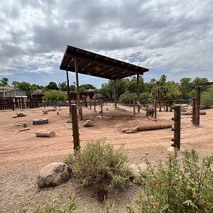 Asian Elephant/Indian Rhino Exhibit (rotational)