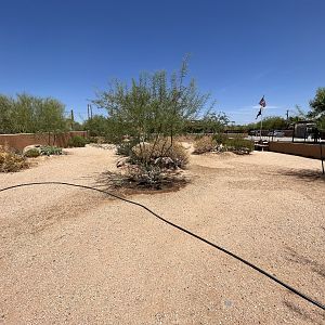 Rattlesnake Ranch - dog training area