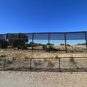 3-acre Grizzly Bear Exhibit