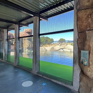 3-acre Grizzly Bear Exhibit