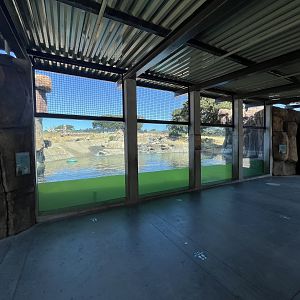 3-acre Grizzly Bear Exhibit
