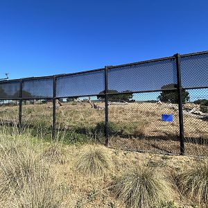 3-acre Grizzly Bear Exhibit