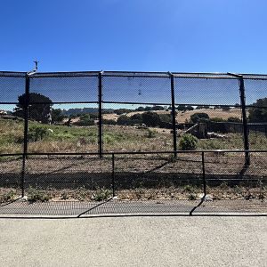 3-acre Grizzly Bear Exhibit