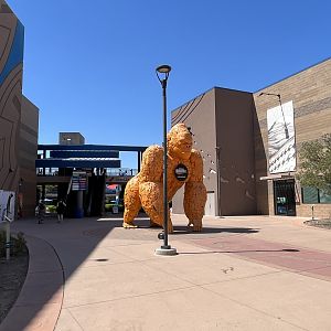 Gorilla outside Aquarium