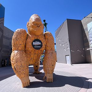 Gorilla outside Aquarium