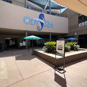 Aquarium Entrance Area