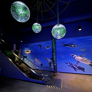 Real fish are in those globe tanks!