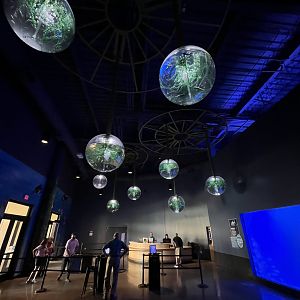 Real fish are in those globe tanks!