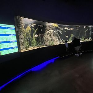 Colorado River Exhibit