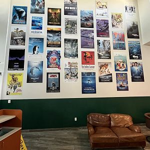 Movie Posters