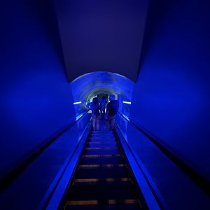 Escalator Ride