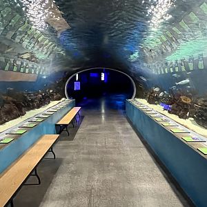 Great Barrier Reef Tunnel