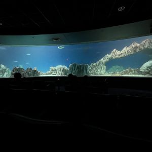 OdySea Voyager - Exhibit #2 of 4