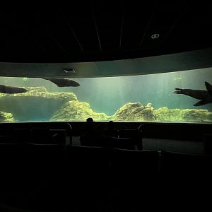 OdySea Voyager - Exhibit #3 of 4