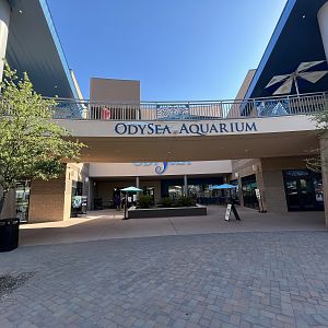 Aquarium Entrance