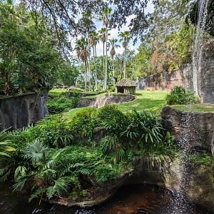 Myombe Reserve - Chimpanzee habitat view