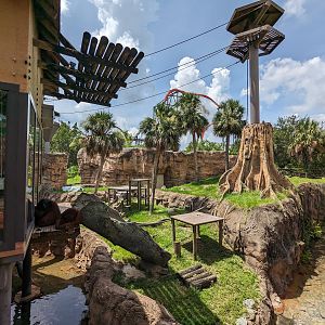 Jungala - Orangutan habitat view