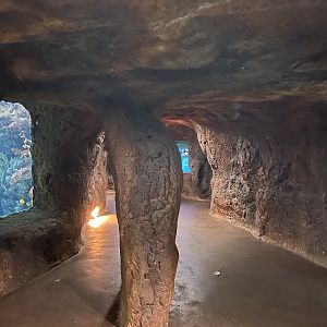 View in Ocean 6.7.23