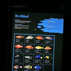 Signage in Ocean 6.7.23