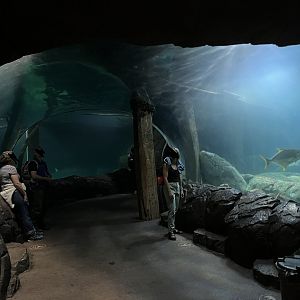 Ocean- Underwater tunnel 6.7.23