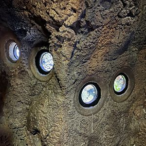 Ocean- Seahorse tank viewing areas 6.7.23