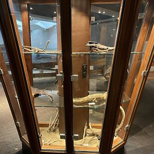 Artefacts outside Ocean