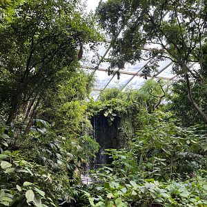 Bush- view towards waterfall 6.7.23