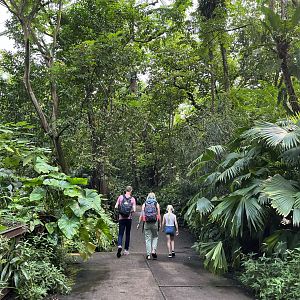 Bush- General view (with people for scale) 6.7.23